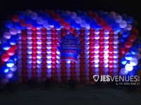 Balloon Wall Backdrop