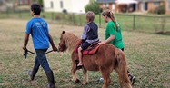 Pony Ride